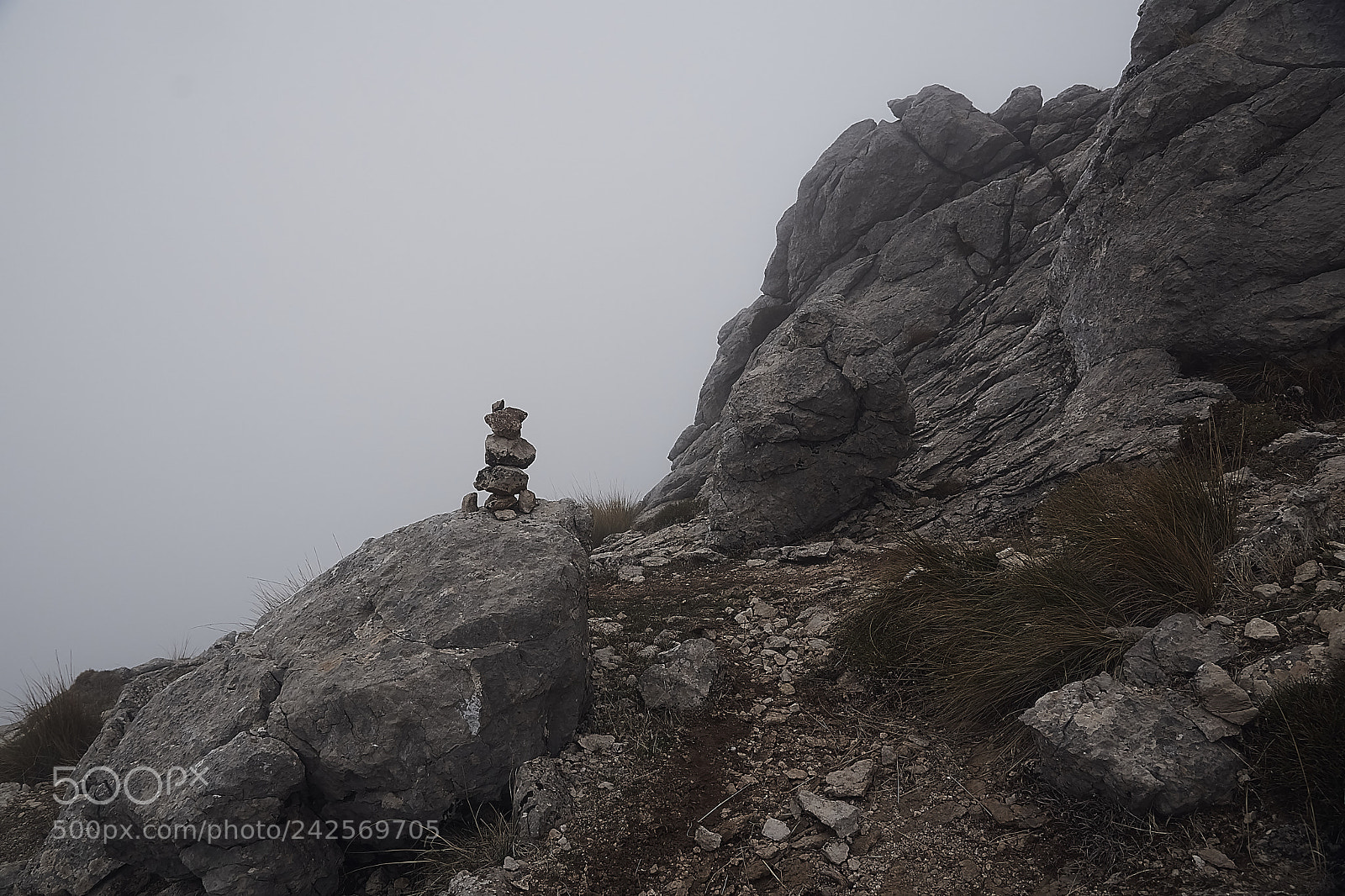 Sony ILCA-77M2 sample photo. Hitos en la niebla photography