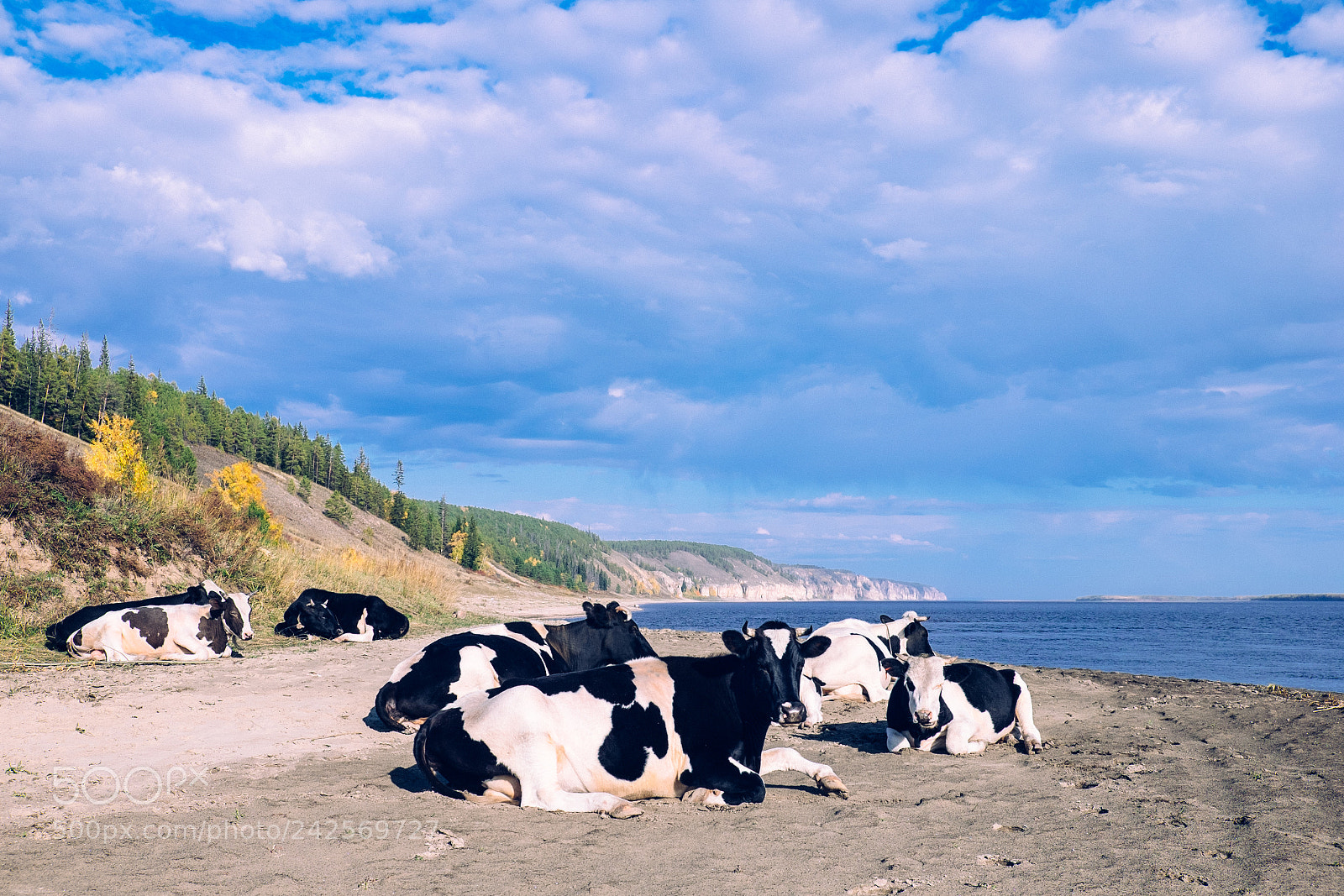 Fujifilm X-T1 sample photo. Girls on the beach photography