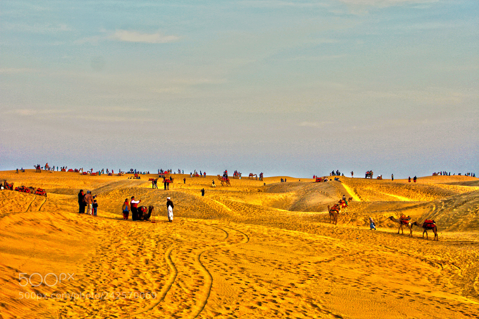 Canon EOS 550D (EOS Rebel T2i / EOS Kiss X4) sample photo. Evening thar desert img photography