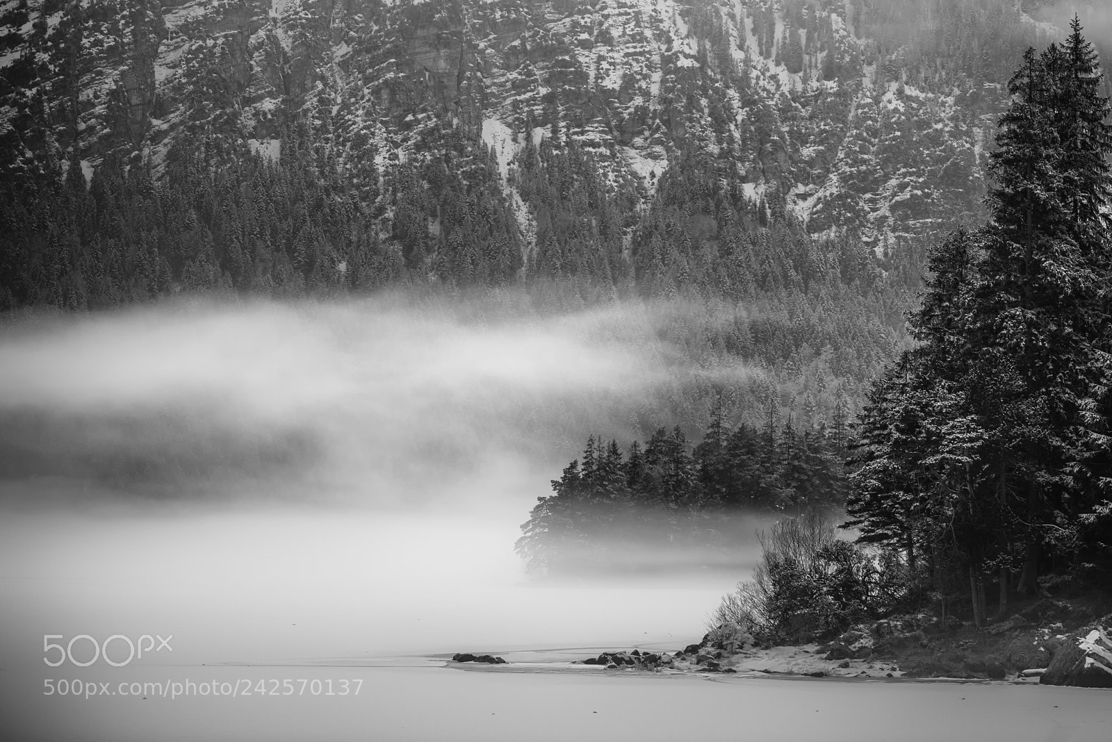 Nikon D600 sample photo. Eibsee - bw photography
