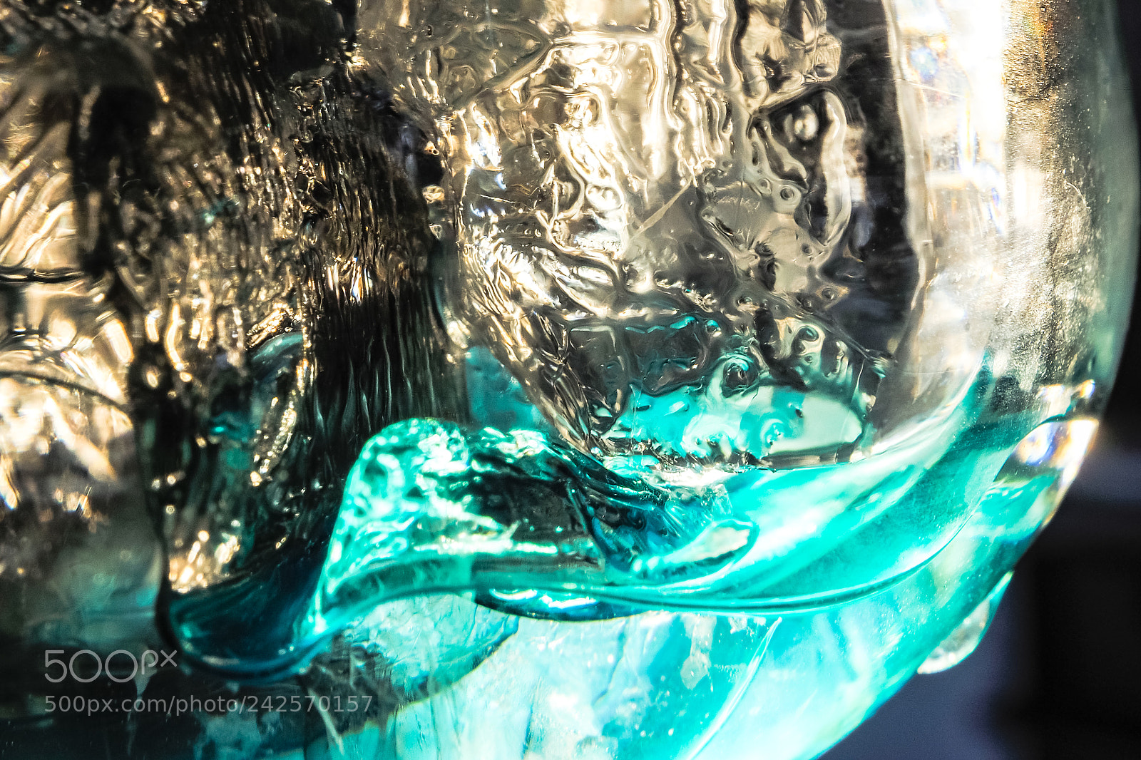 Olympus OM-D E-M5 II sample photo. Cup in the ice photography