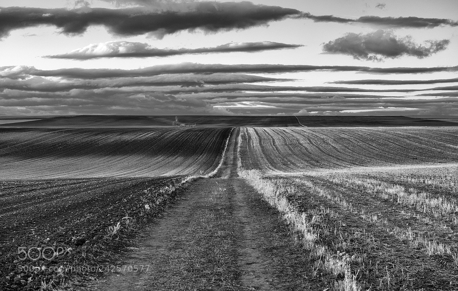 Panasonic Lumix DMC-GX8 sample photo. Rumbo al horizonte photography