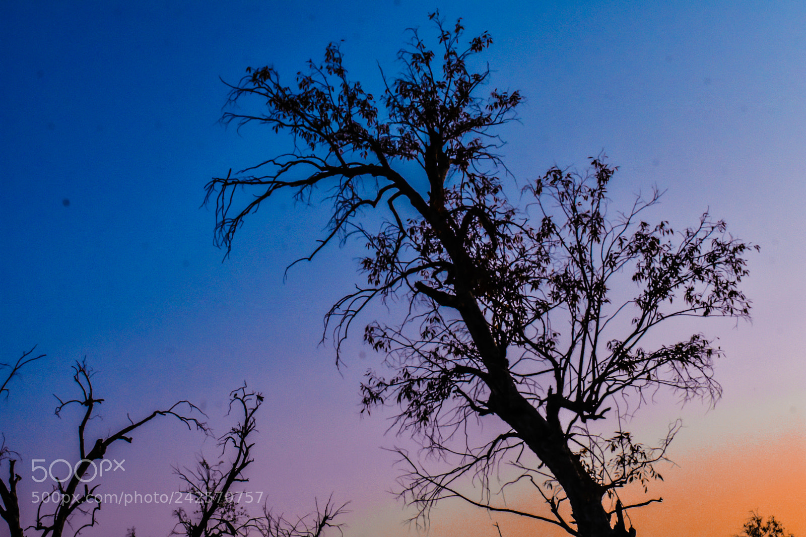 Nikon D3400 sample photo. Sky line photography