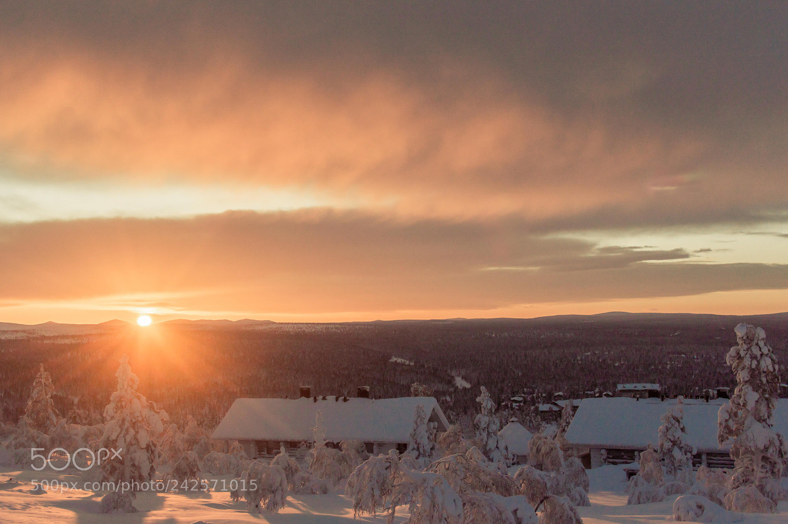 Nikon D3200 sample photo. Winter beauty photography