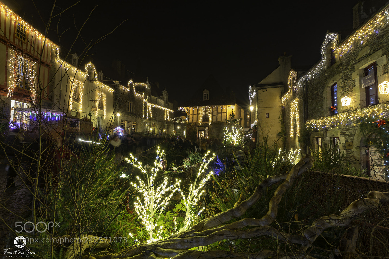 Nikon D7100 sample photo. Rochefort-en-terre christmas illumination - 7 photography