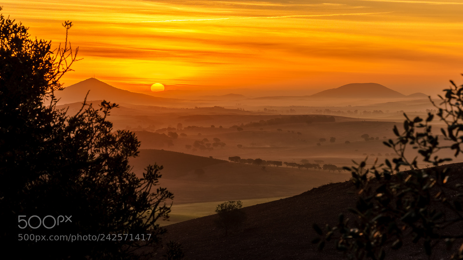 Sony a7 II sample photo. Alentejo sunrise photography