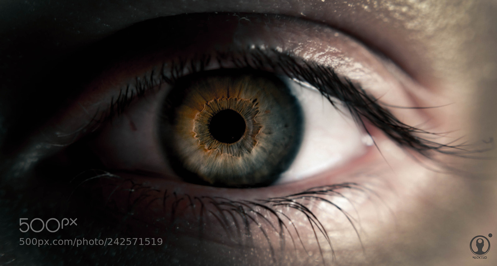 Nikon D3100 sample photo. Eye photography