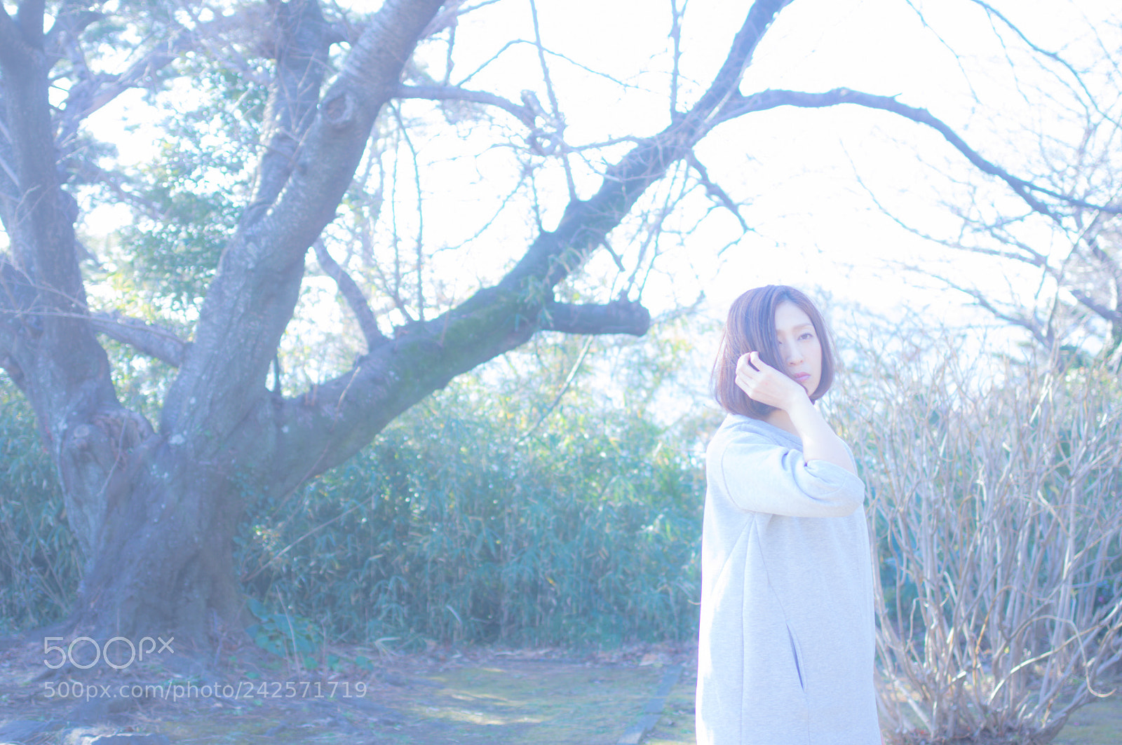 Pentax K-3 sample photo. 【life is cool.5】 photography