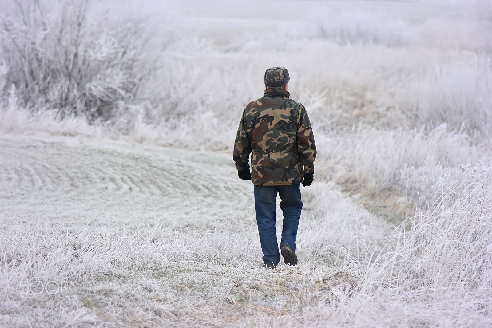 Nikon D3400 sample photo. Wintertime photography