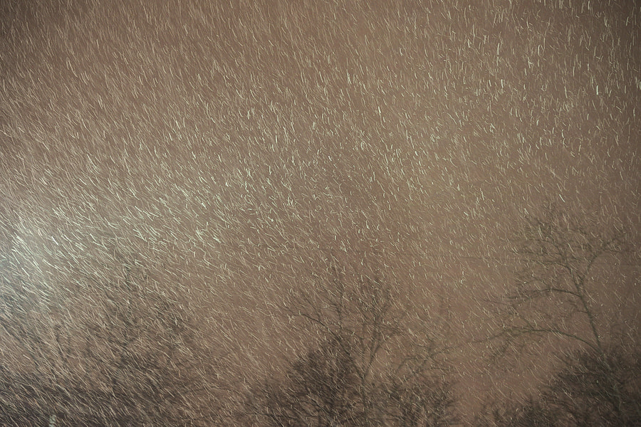 Nikon D610 sample photo. Снег/snow photography