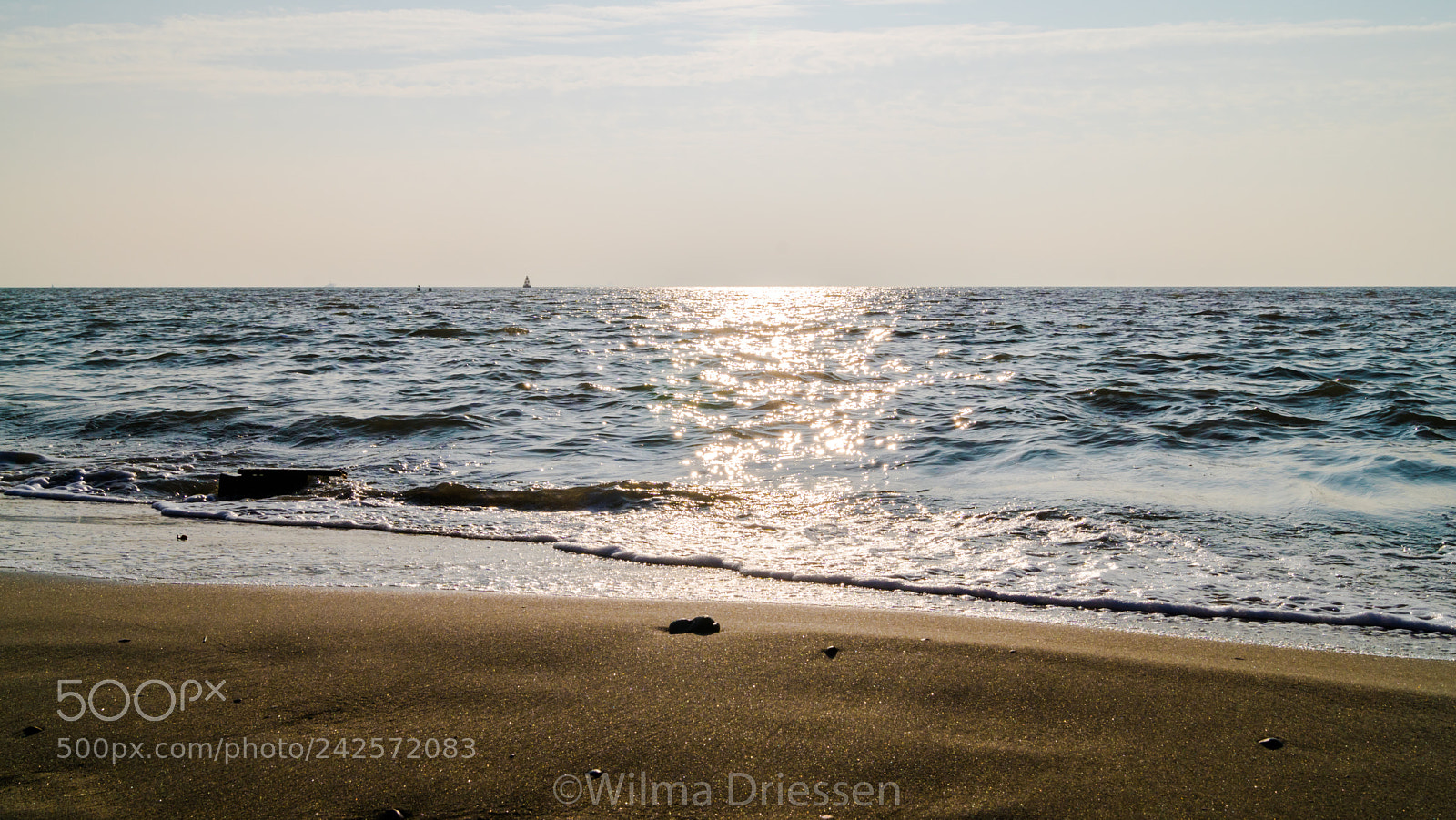 Sony ILCA-77M2 sample photo. At the beach! photography