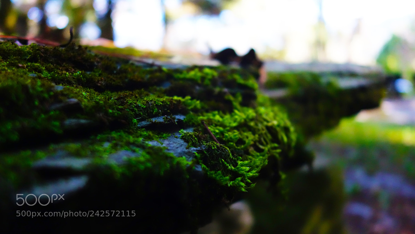 Sony Cyber-shot DSC-RX100 II sample photo. Taken by time photography