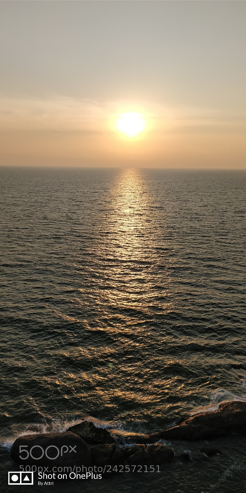 OnePlus 5T sample photo. Untitled photography