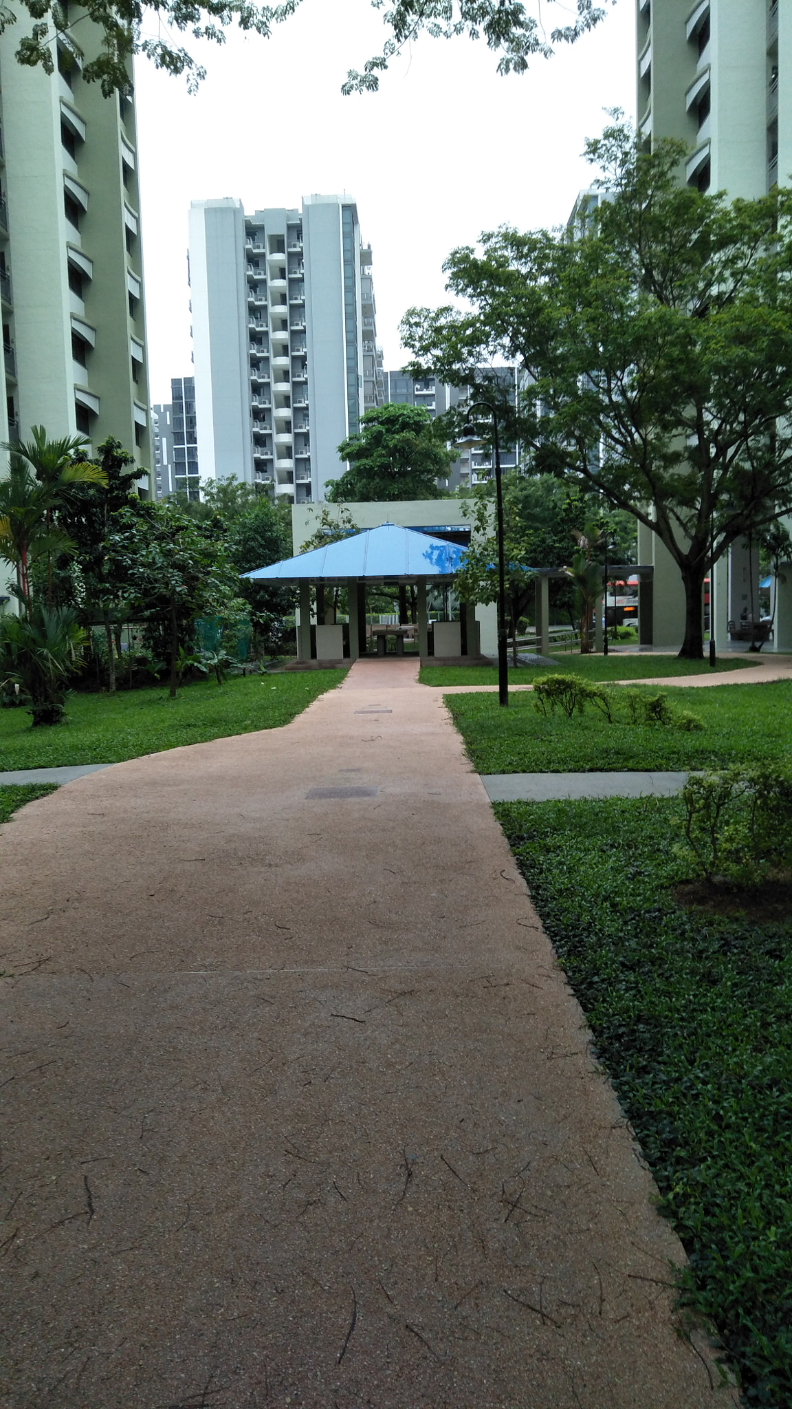 OPPO CPH1701 sample photo