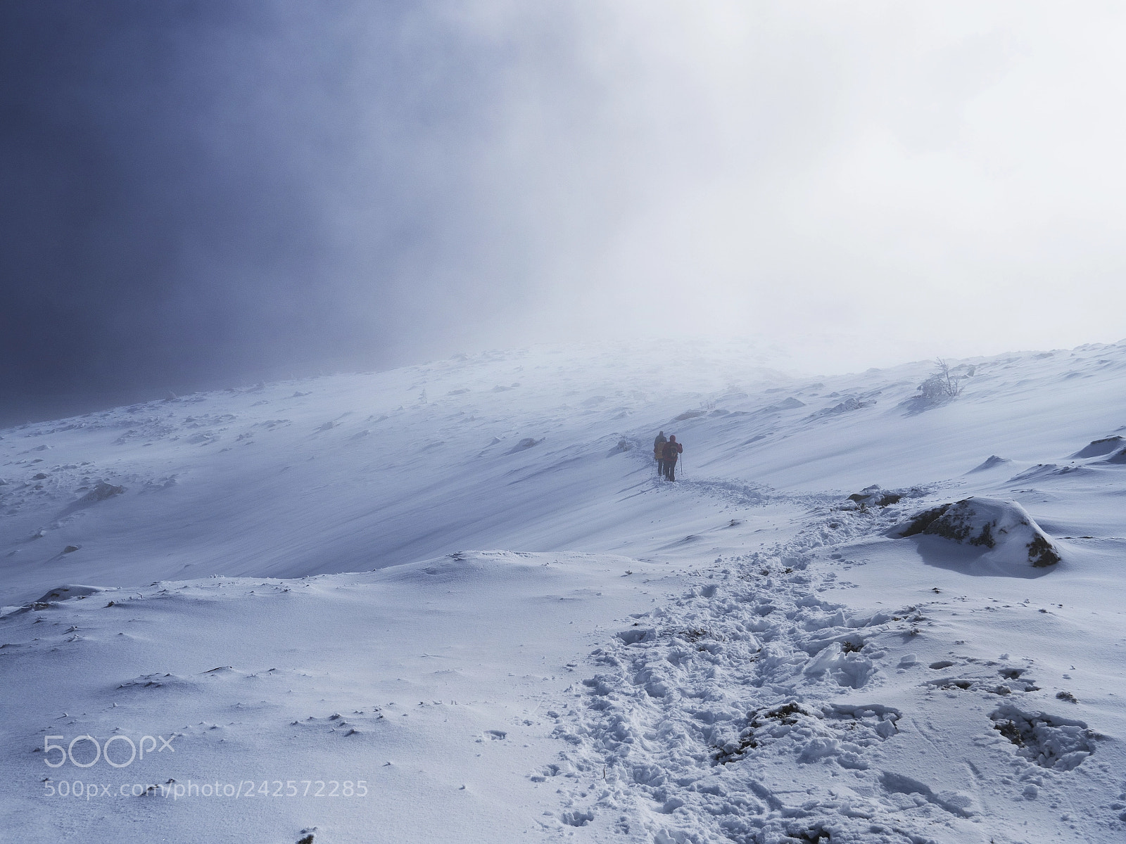 Olympus OM-D E-M5 II sample photo. Cold way photography