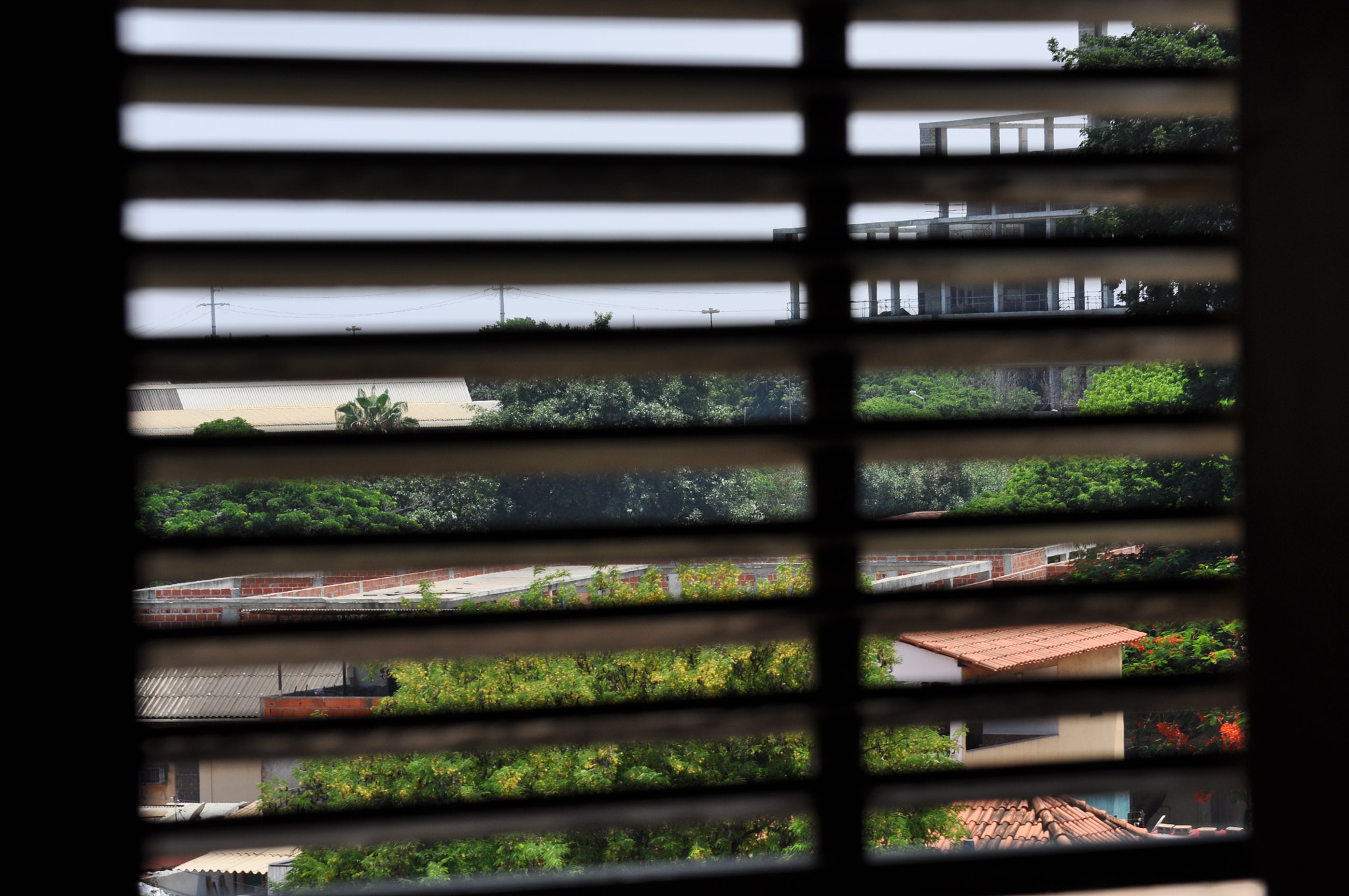 Nikon D90 sample photo. Como um código de barras photography
