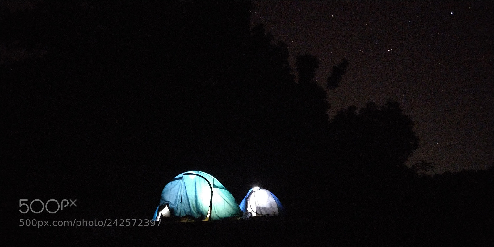 OnePlus 5T sample photo. Untitled photography