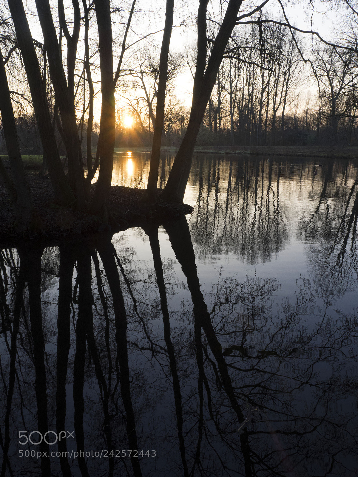 Olympus OM-D E-M1 sample photo. Sunrise in rivierenhof photography
