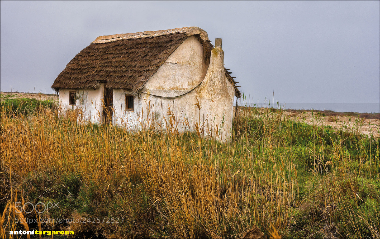 Nikon D7200 sample photo. Delta de l'ebre photography