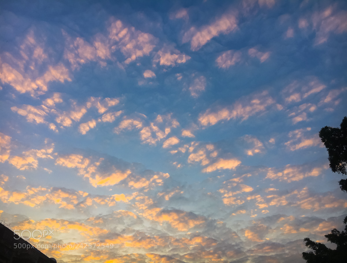 Apple iPhone 6s sample photo. Dusk photography