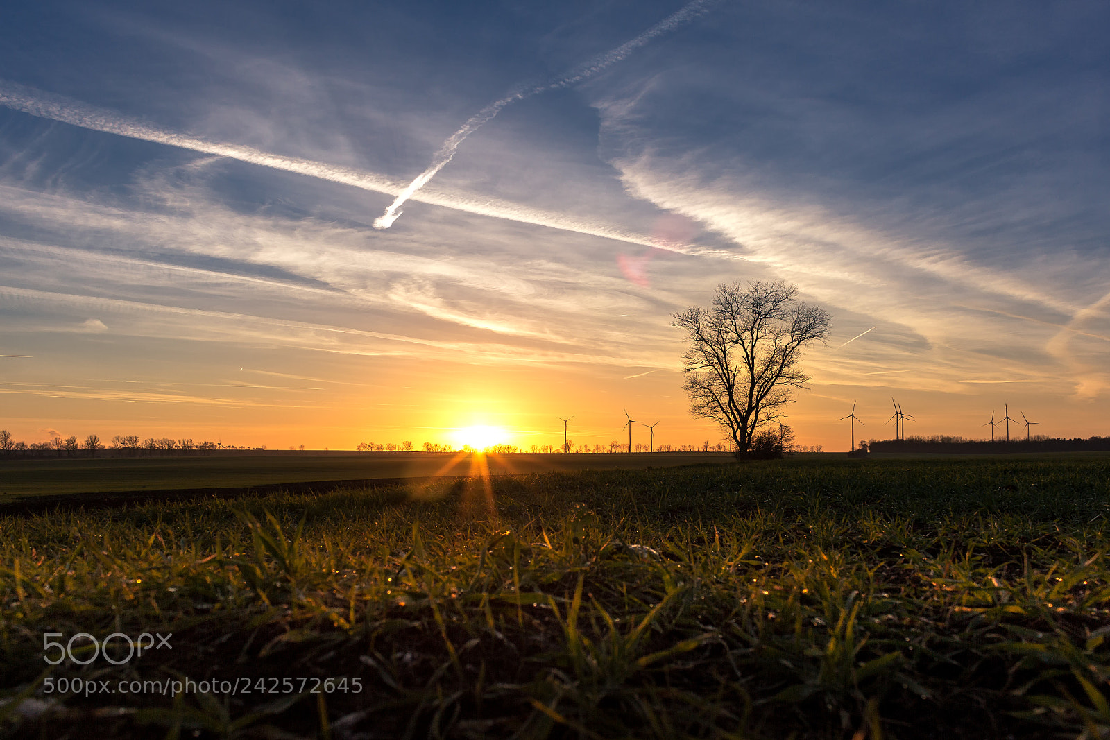 Canon EOS 60D sample photo. Sonnenuntergang photography