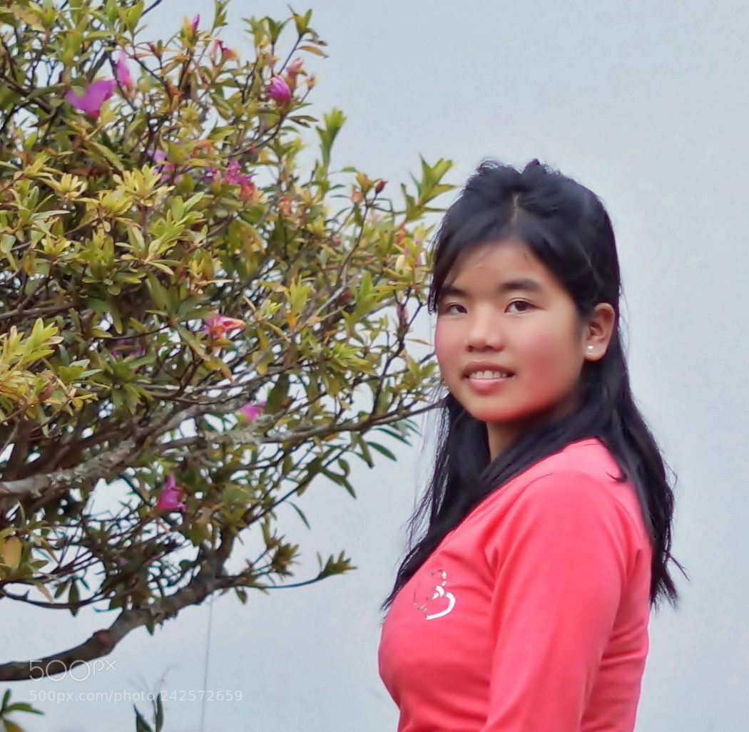 Sony Alpha a3500 sample photo. Amy in pink photography