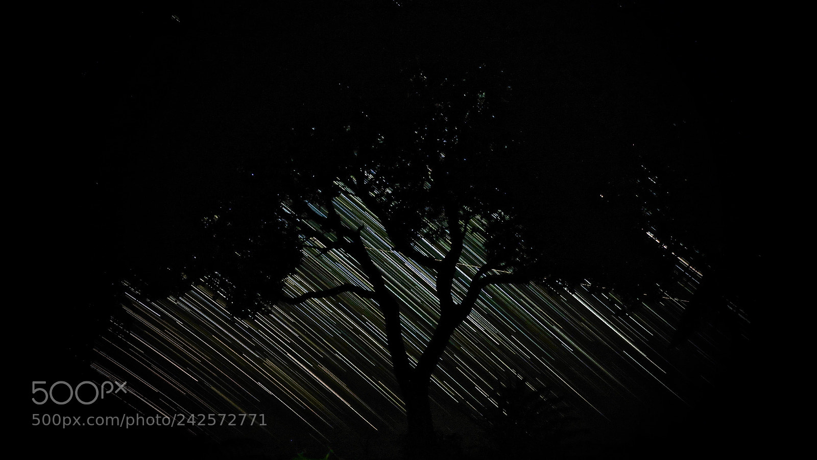 Canon PowerShot G9 X sample photo. Silhouetted by the startrails photography