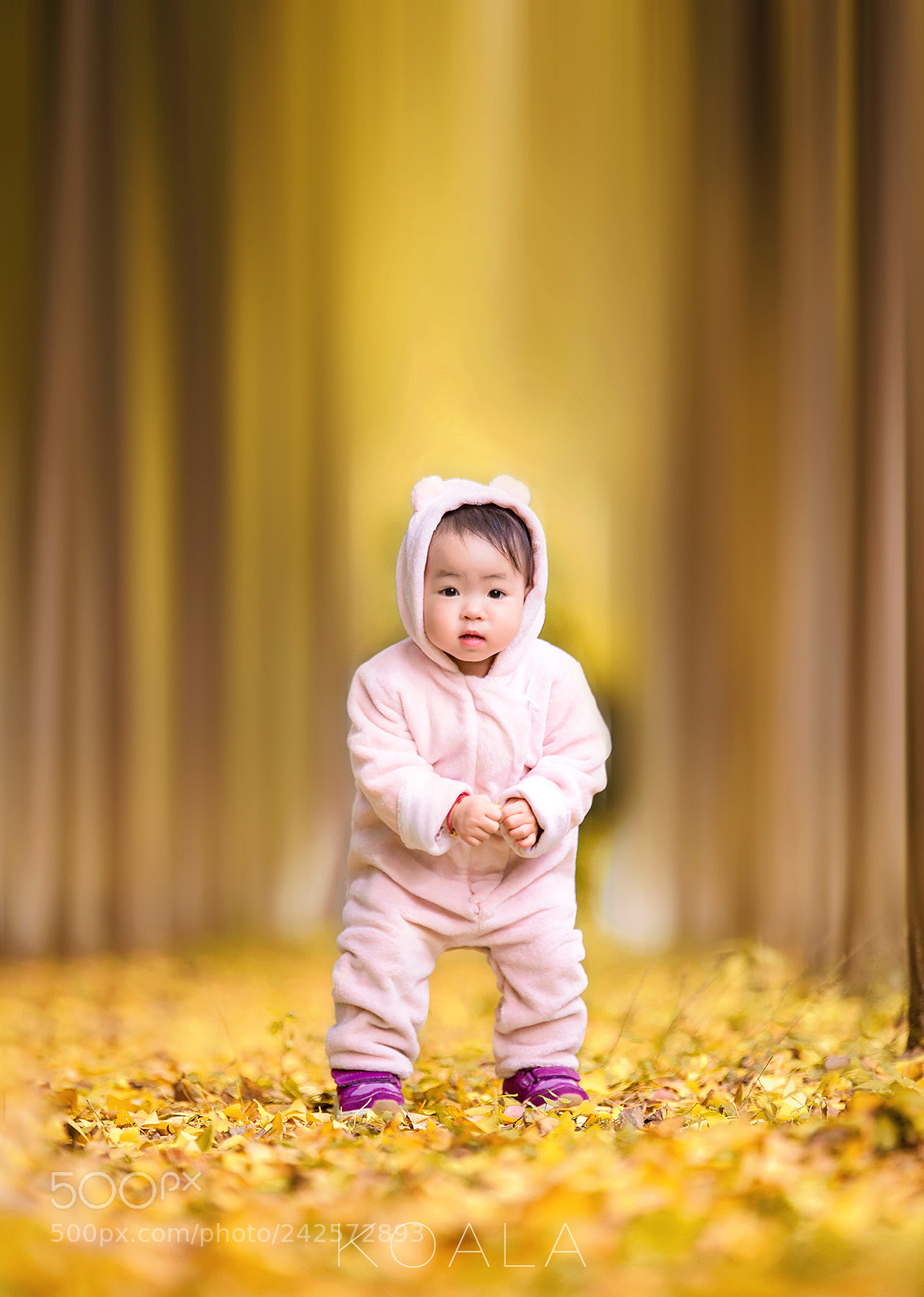 Nikon D4 sample photo. 银杏林 photography