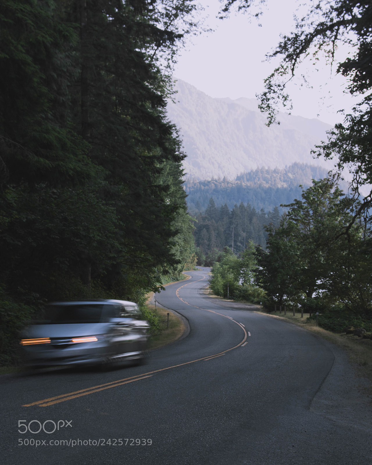 Canon EOS 750D (EOS Rebel T6i / EOS Kiss X8i) sample photo. Windy roads photography