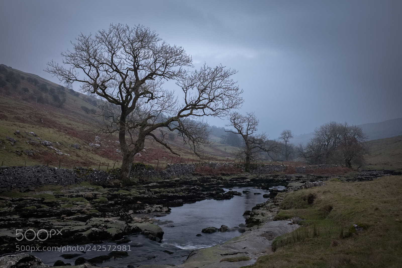 Fujifilm X-T1 sample photo. Late afternoon in langstrothdale photography