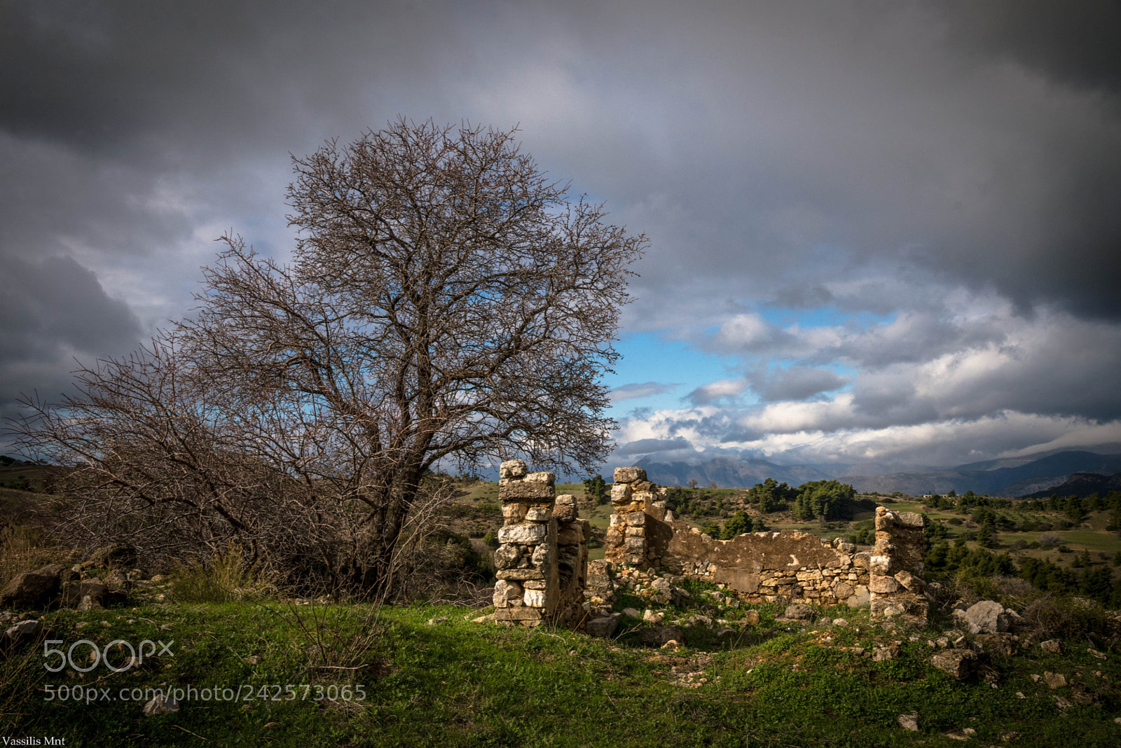 Nikon D610 sample photo. After the storm... photography