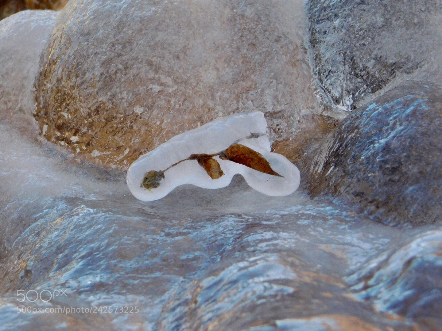 Nikon Coolpix B500 sample photo. Frozen photography