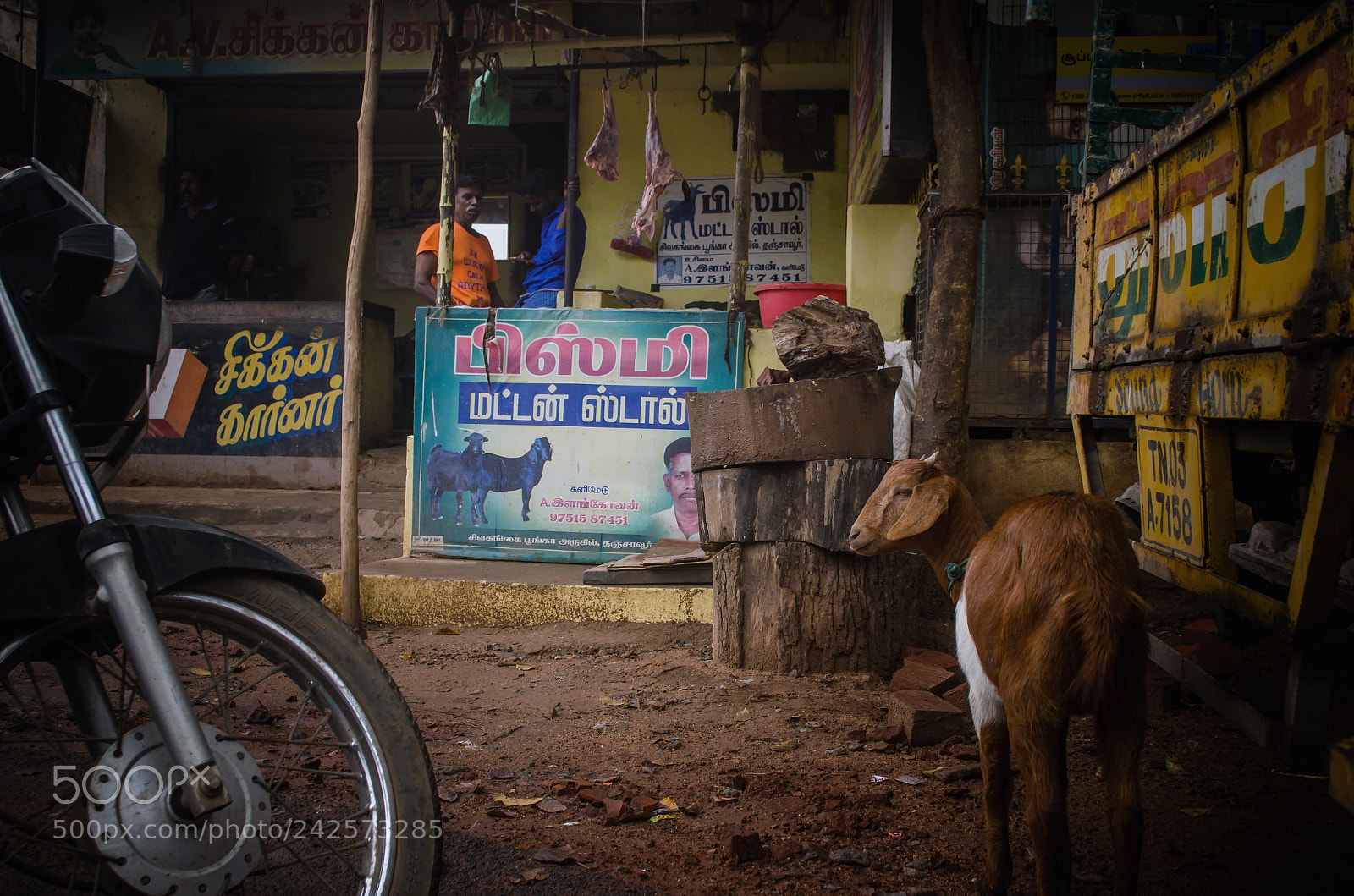 Nikon D5100 sample photo. Streets of tanjore photography