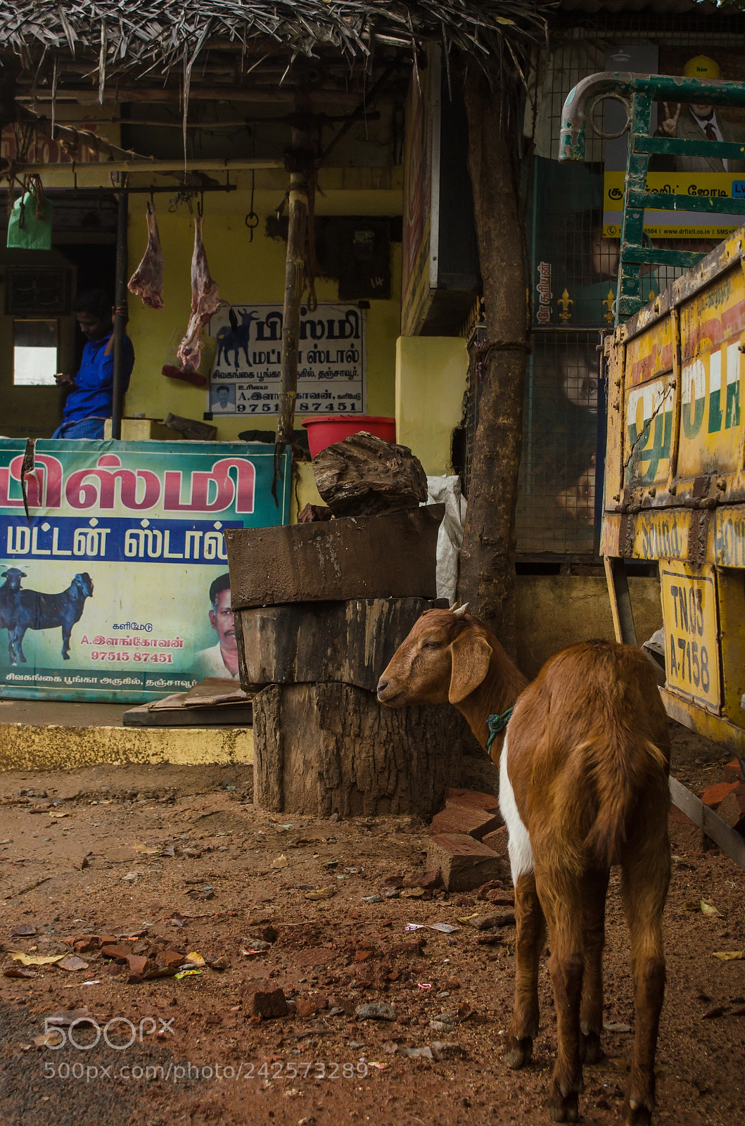 Nikon D5100 sample photo. Streets of tanjore photography
