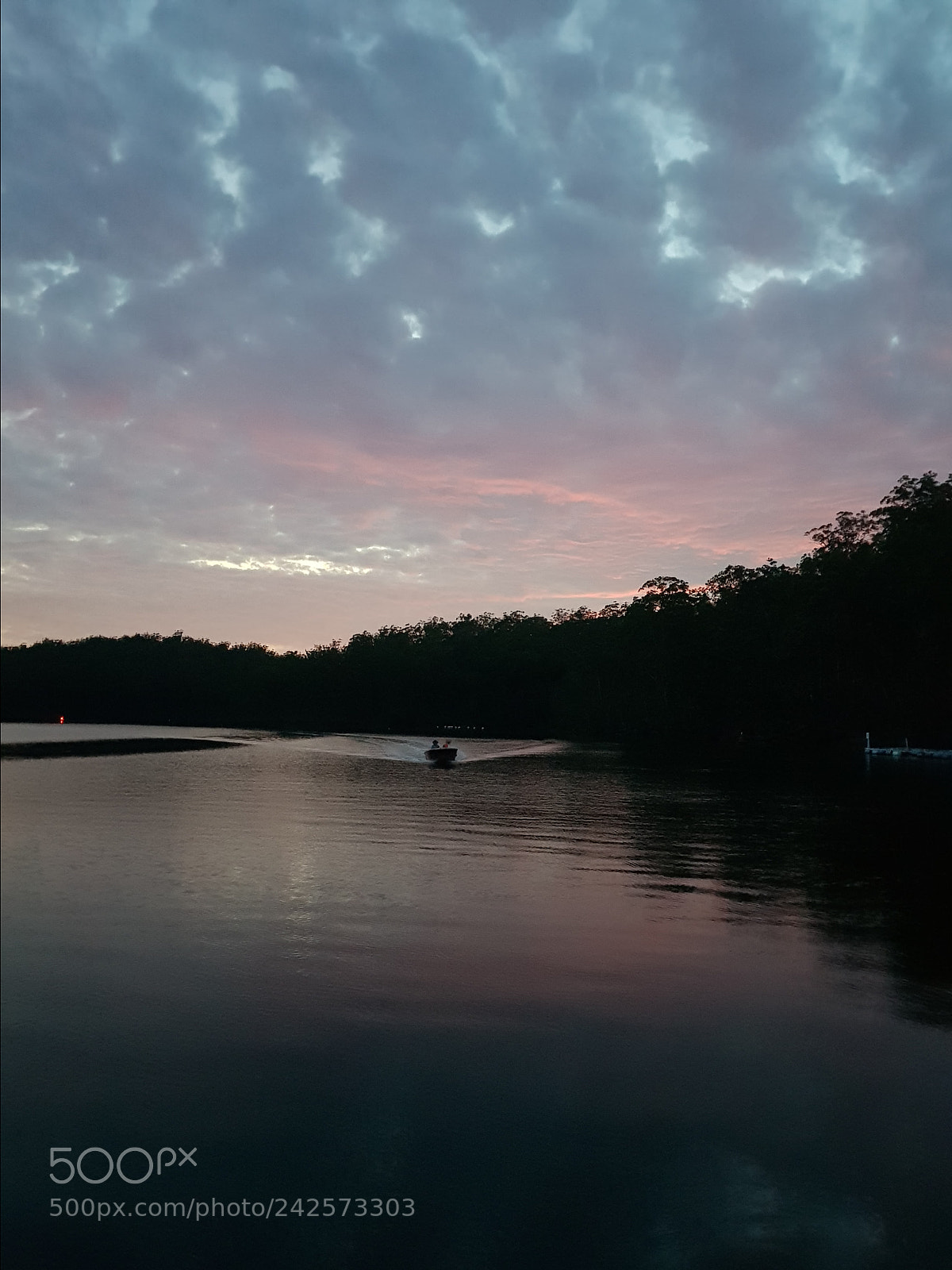 Samsung Galaxy S8+ sample photo. Pink hue. photography