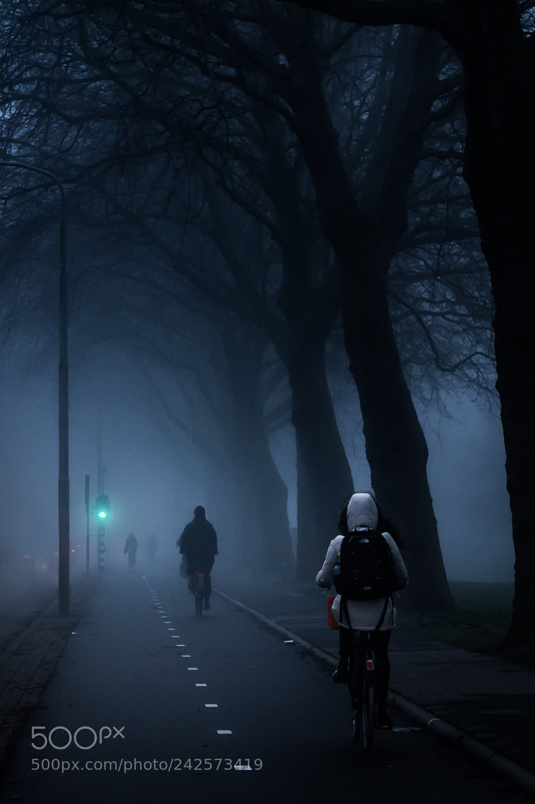 Nikon D7100 sample photo. Eerie morning photography
