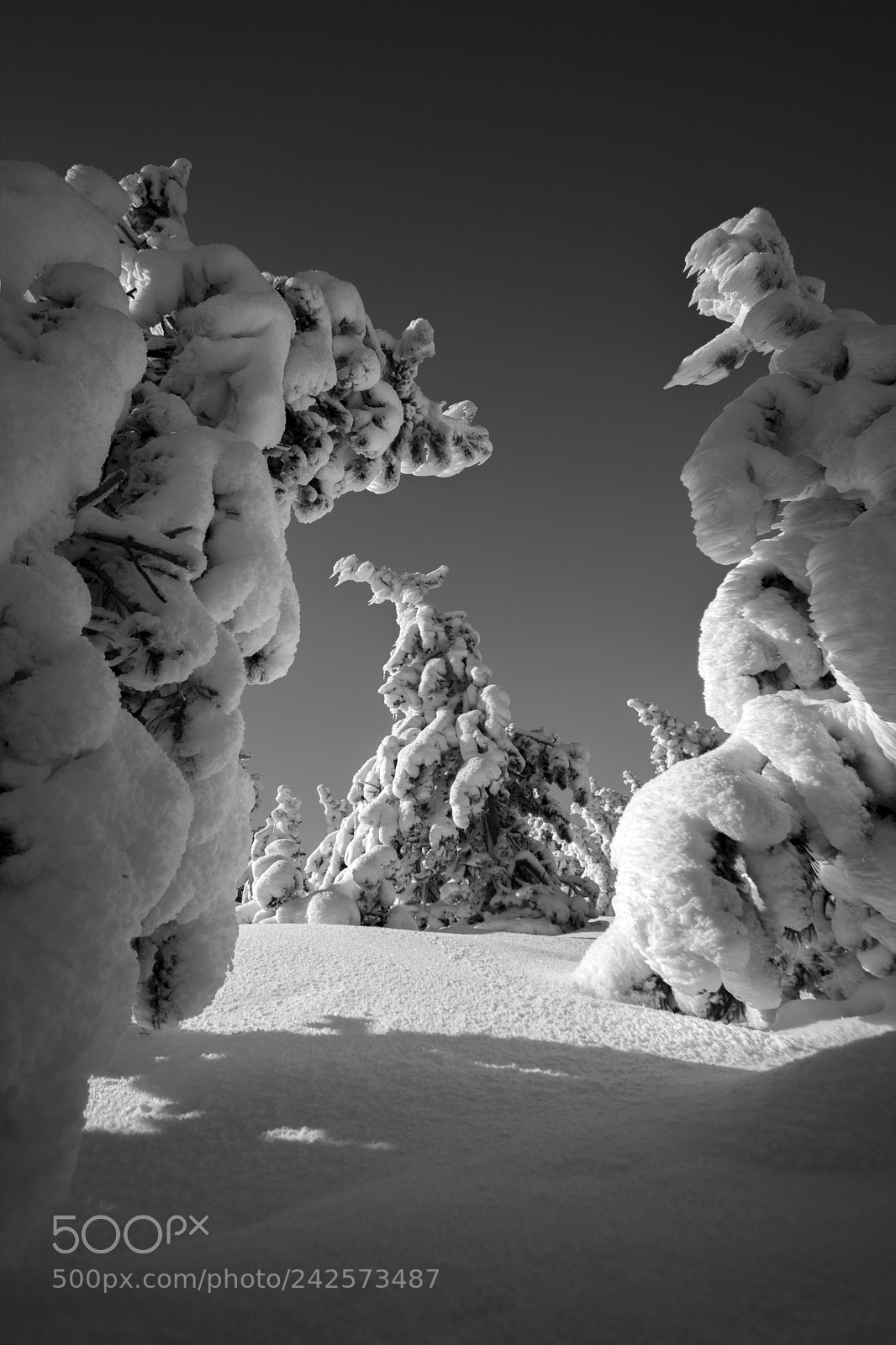 Nikon D7100 sample photo. Ventoux photography