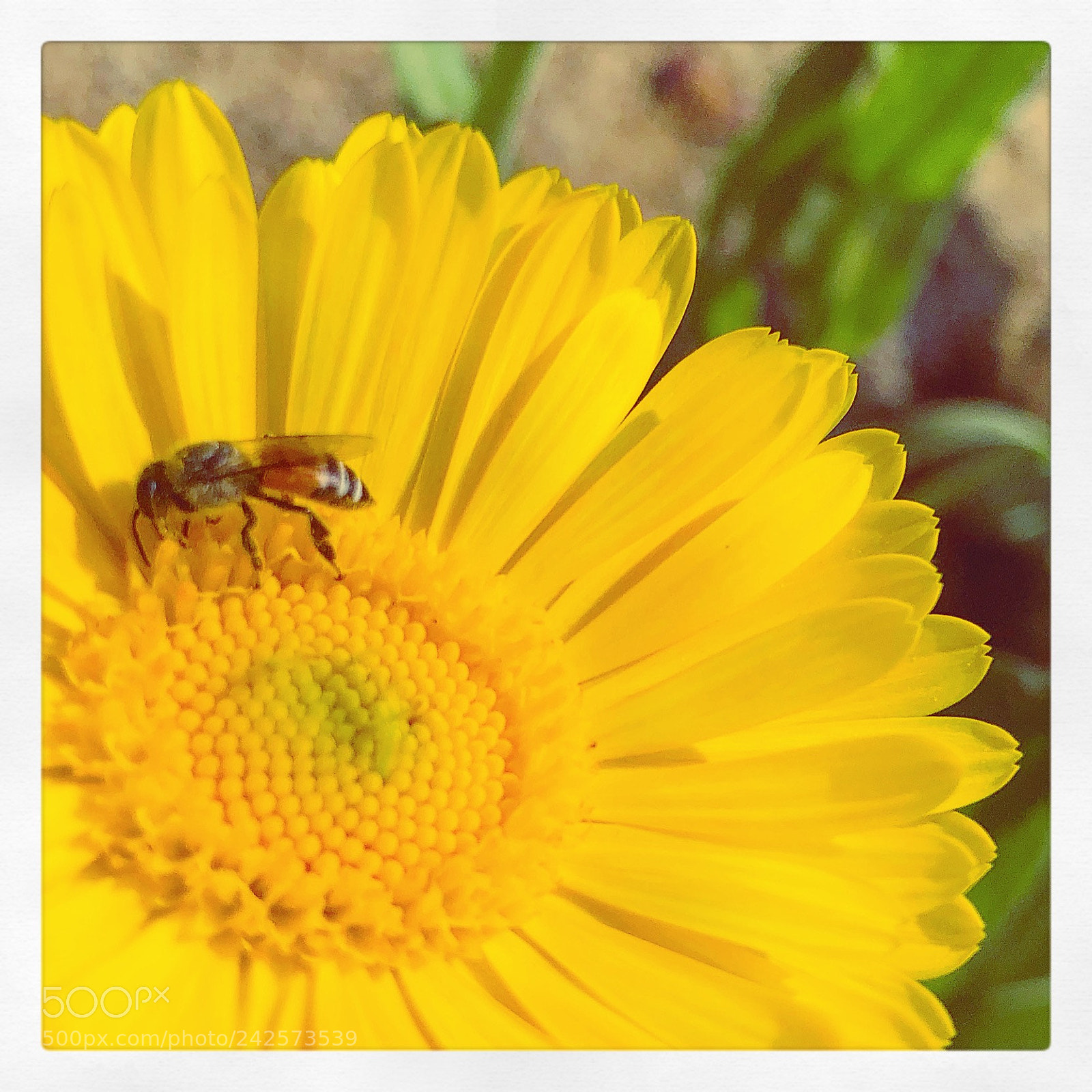 Apple iPhone 8 sample photo. Untitled photography