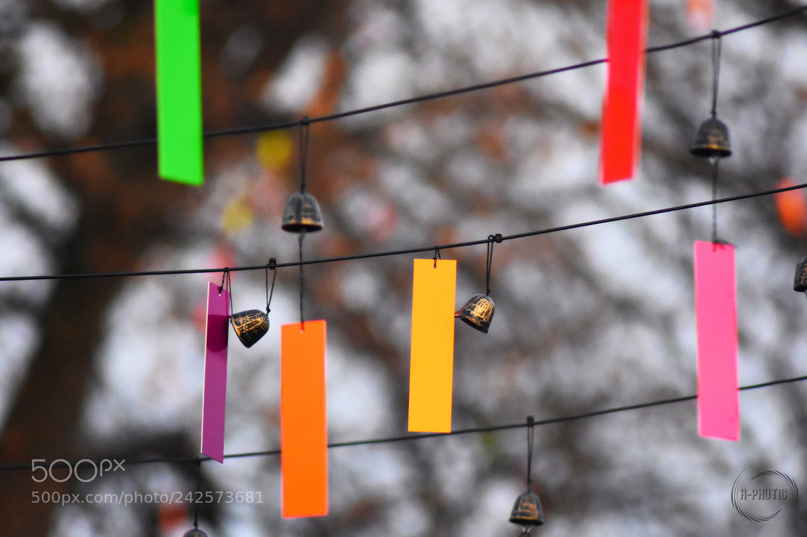 Nikon D7200 sample photo. Genève, suisse photography