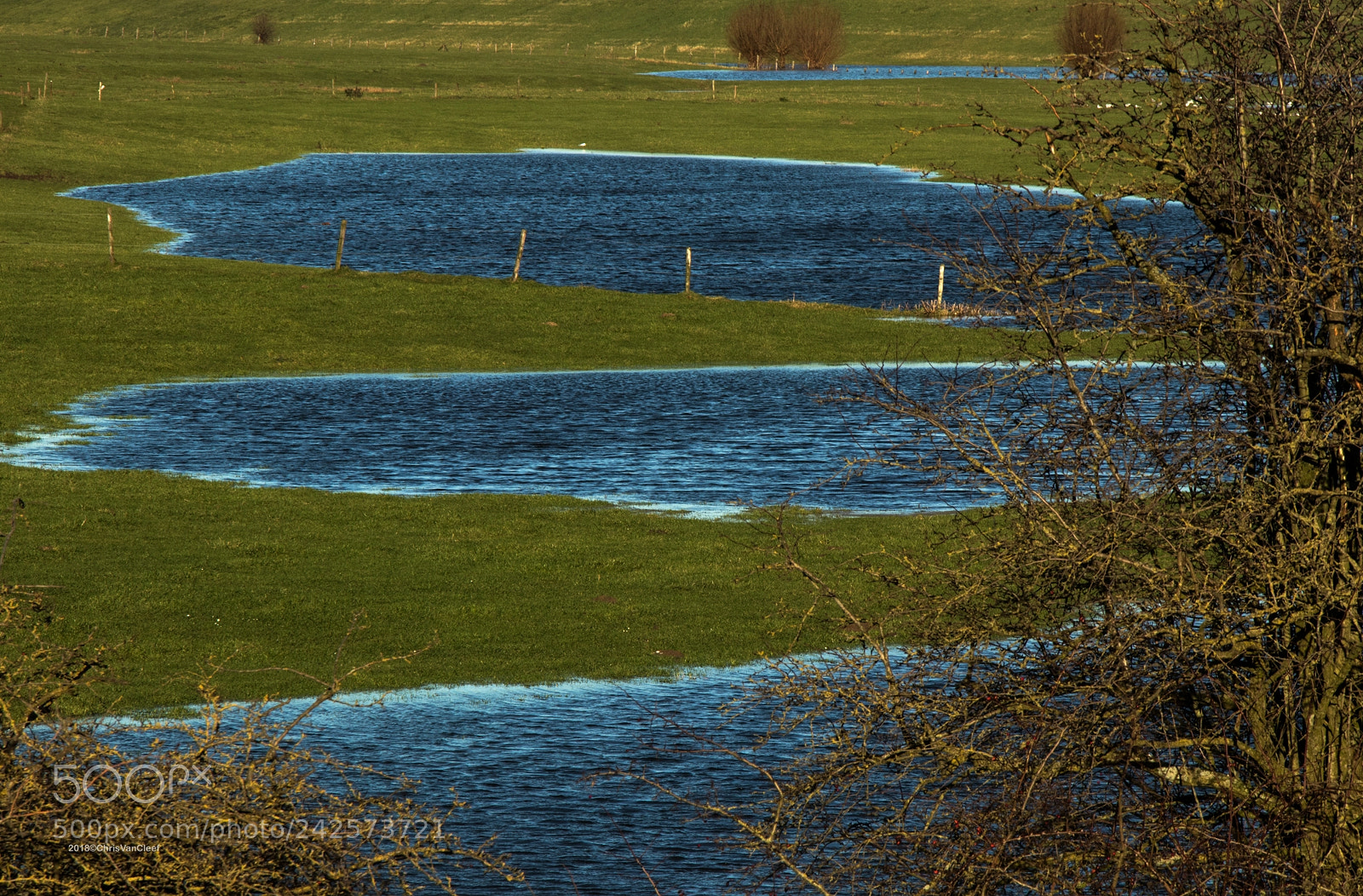 Canon EOS M5 sample photo. Drowned land along the photography