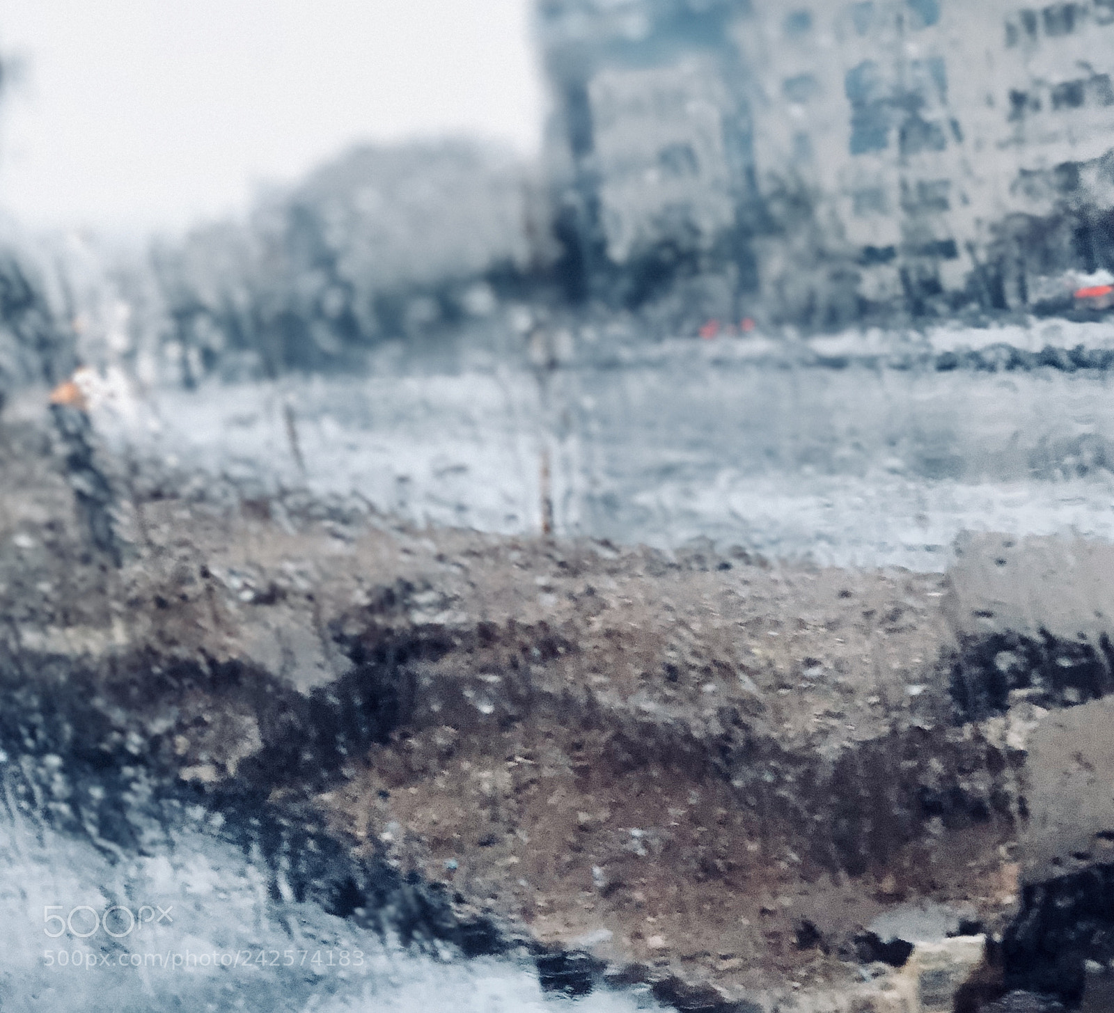 Apple iPhone 8 Plus sample photo. Untitled photography