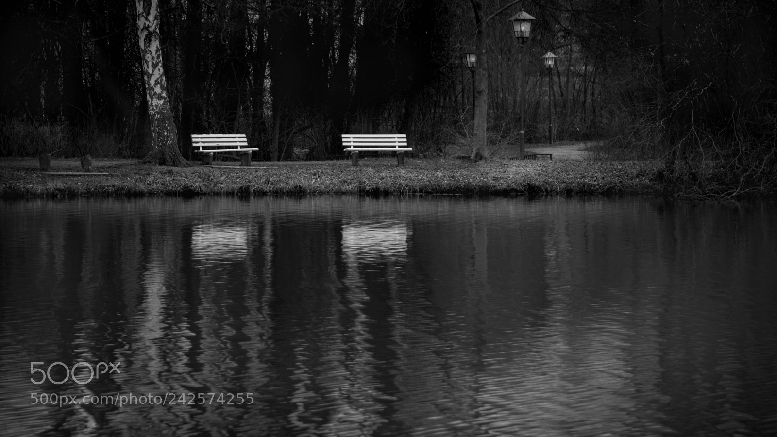 Nikon D5300 sample photo. Kurpark im winter photography