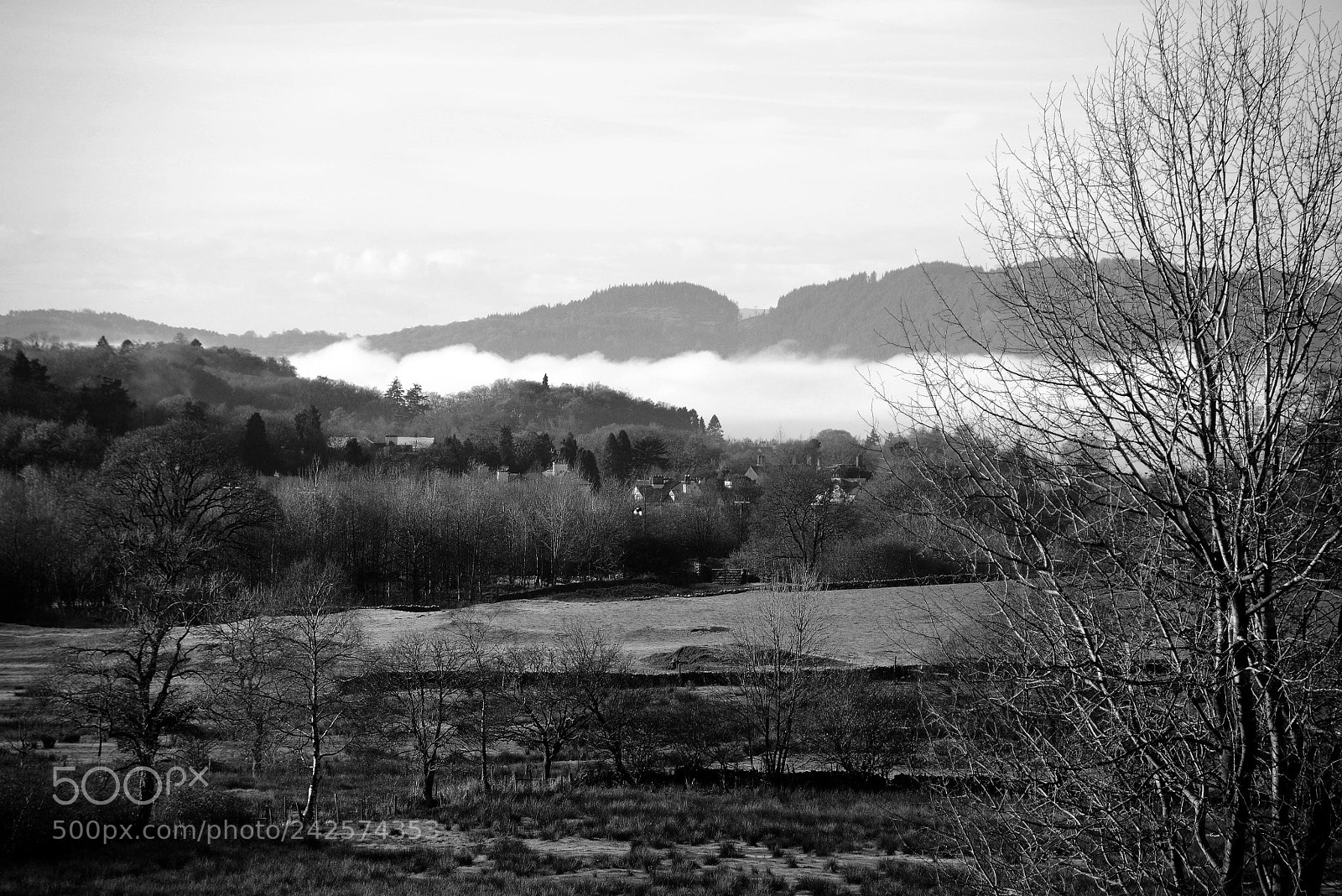 Nikon D7100 sample photo. Morning mist in bw photography