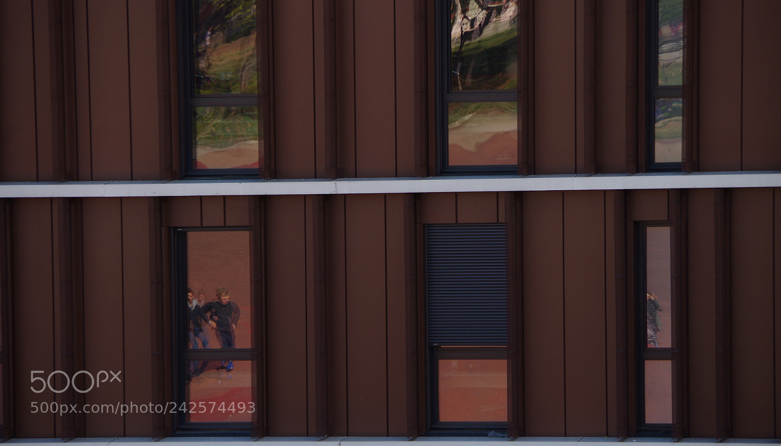 Pentax K-50 sample photo. Untitled photography