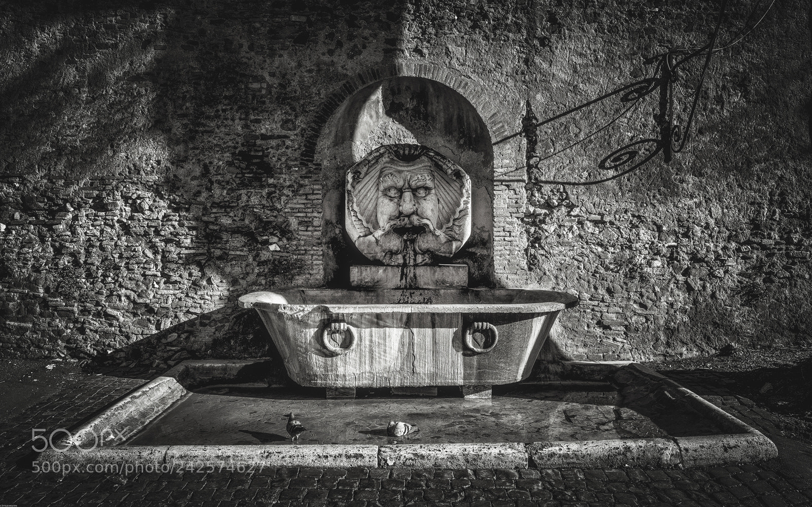 Nikon D810 sample photo. Untitled photography