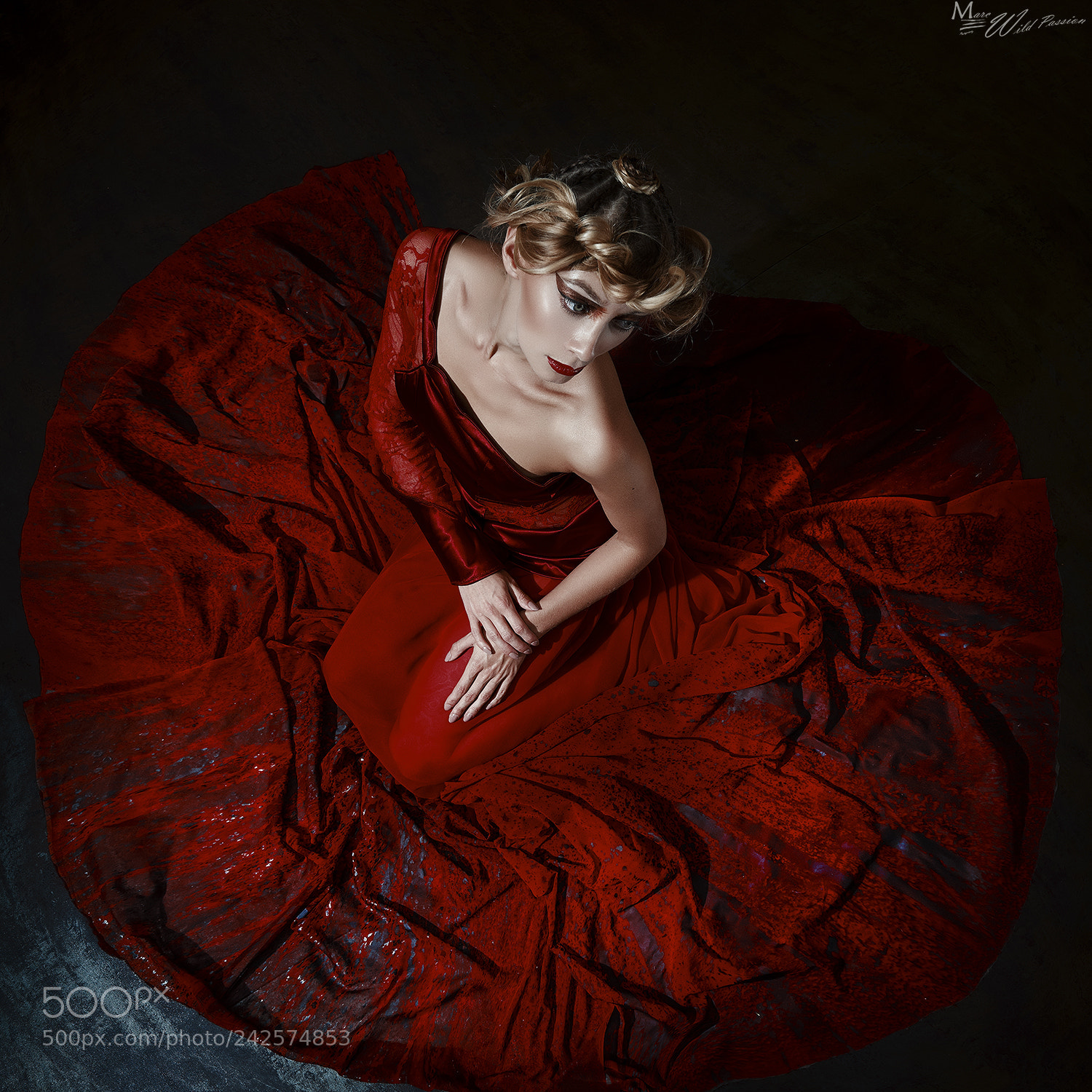 Nikon D800E sample photo. Red photography