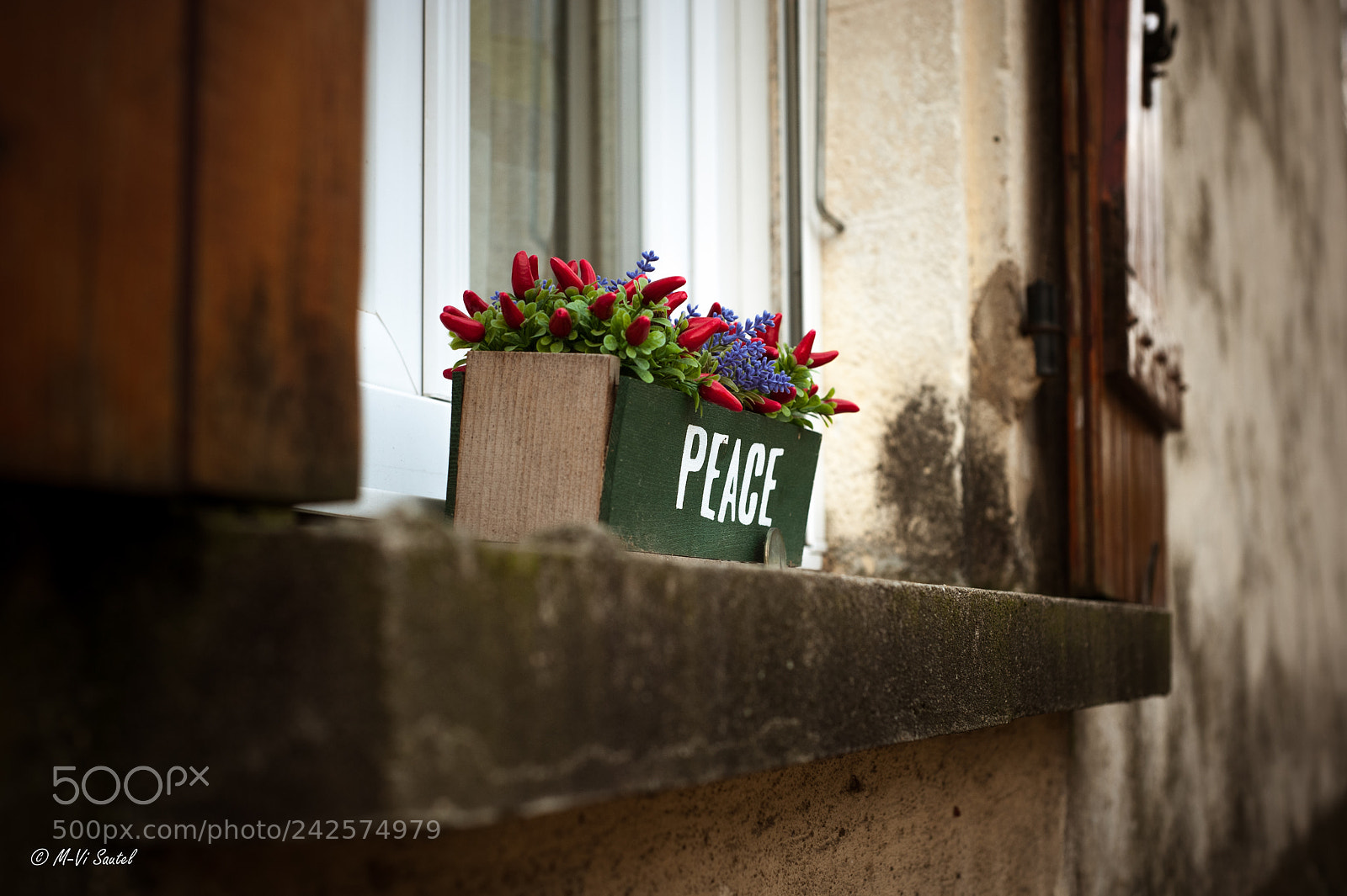 Nikon D700 sample photo. Peace photography