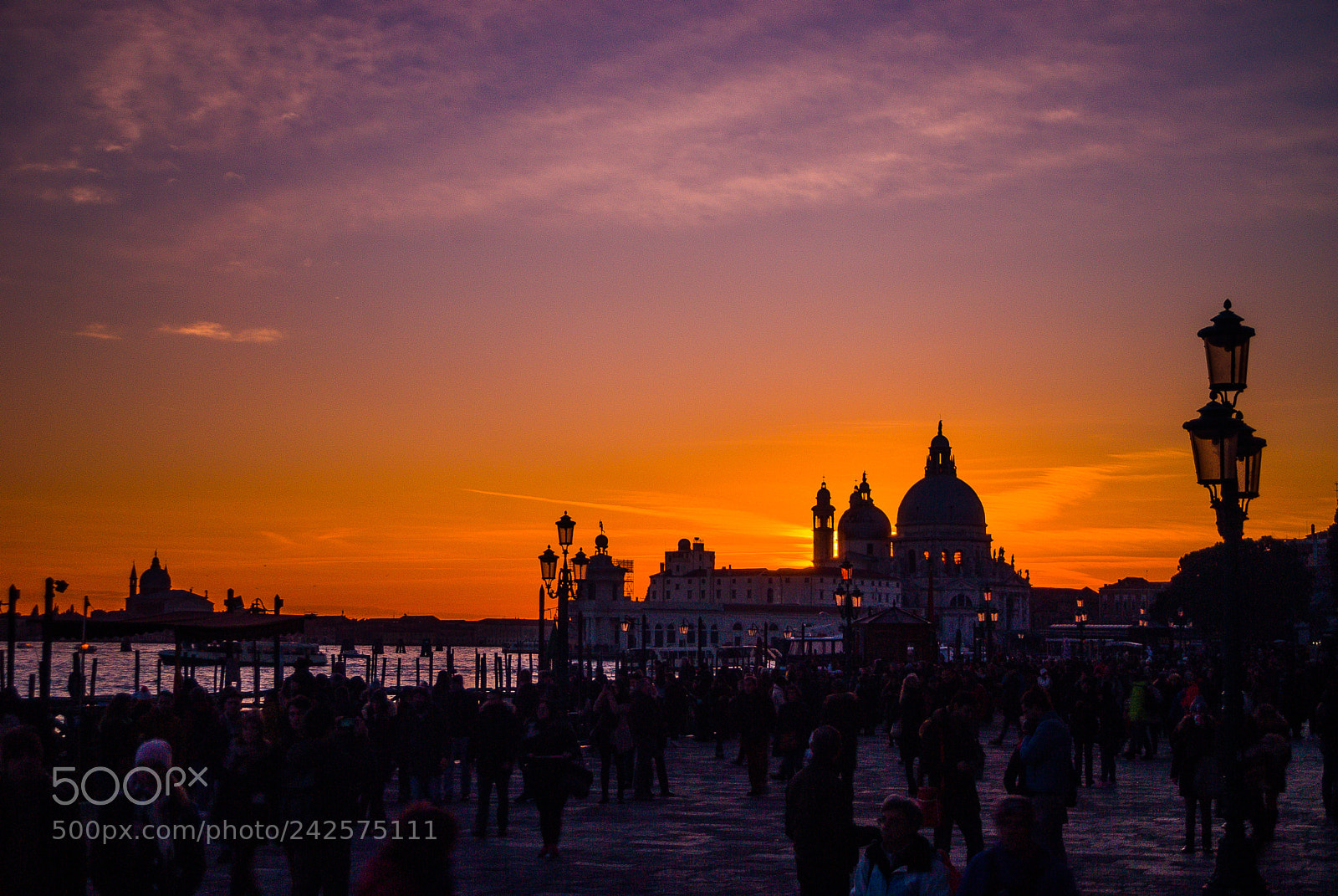 Nikon D80 sample photo. Purple sunset photography
