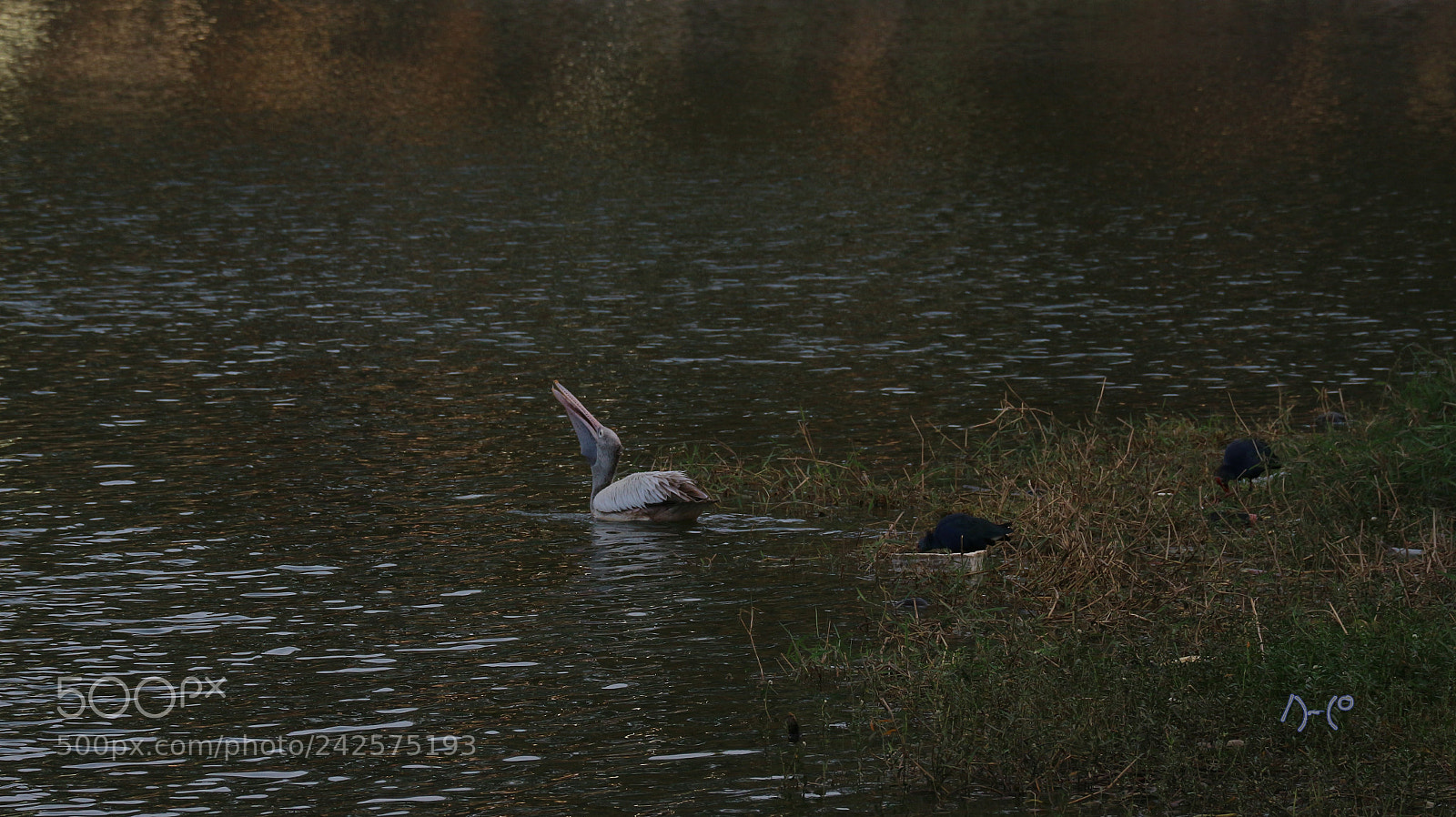 Canon EOS M10 sample photo. Got it in my photography