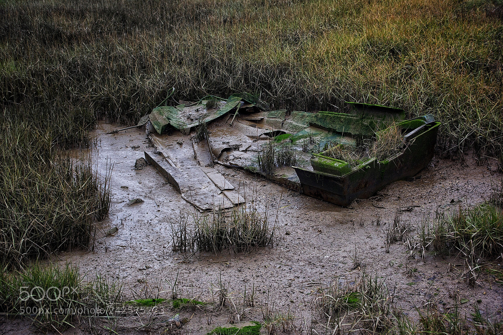 Nikon D810 sample photo. Derelict boat being claimed photography